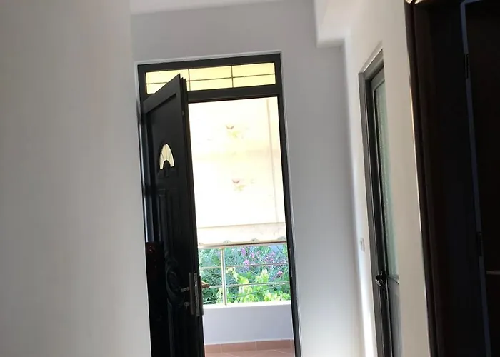 Mona's